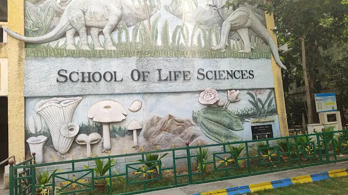 Loyola College